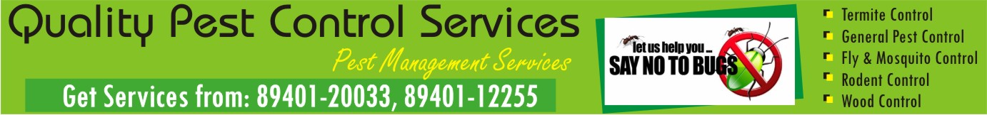 Quality Pest Control Services